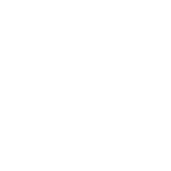 Königsklasse Training